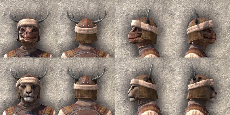 File:ON-item-armor-Battleground Runner Beast Races.jpg