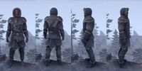 ON-item-armor-Skaal Explorer Style Male.jpg