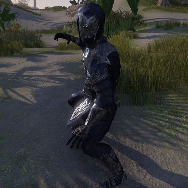 File:ON-npc-Darkbinder Penitent.jpg