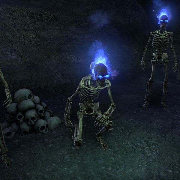 File:ON-npc-Skeleton (Bone Orchard).jpg