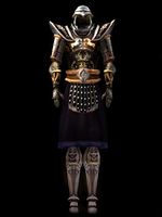 MW-item-Imperial Steel Armor.jpg