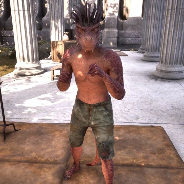 File:OBR-npc-Saliith.jpg
