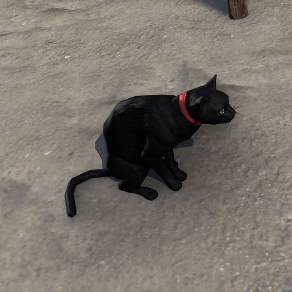 File:ON-creature-Luzin.jpg