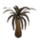 ON-icon-furnishing-Tree, Water Palm.png