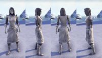 ON-item-armor-Eccentric Experimenter (female).jpg