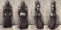 ON-item-armor-Exile's Revenge Light Robe Female.jpg