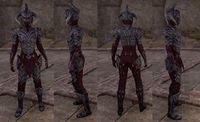 ON-item-armor-Legion Zero Style.jpg
