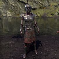 ON-item-armor-Order of the Hour Style medium armor (female).jpg