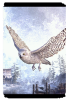 ON-card-Windhelm Snow Owl.png