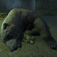 ON-creature-Monstrous Bear.jpg