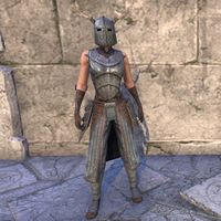 Nedic Keptu Armor (female)