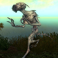 http://images.uesp.net/thumb/5/5c/SI-creature-Ravenous_Hunger.jpg/240px-SI-creature-Ravenous_Hunger.jpg