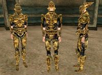 MW-item-Bonemold Armor Female.jpg