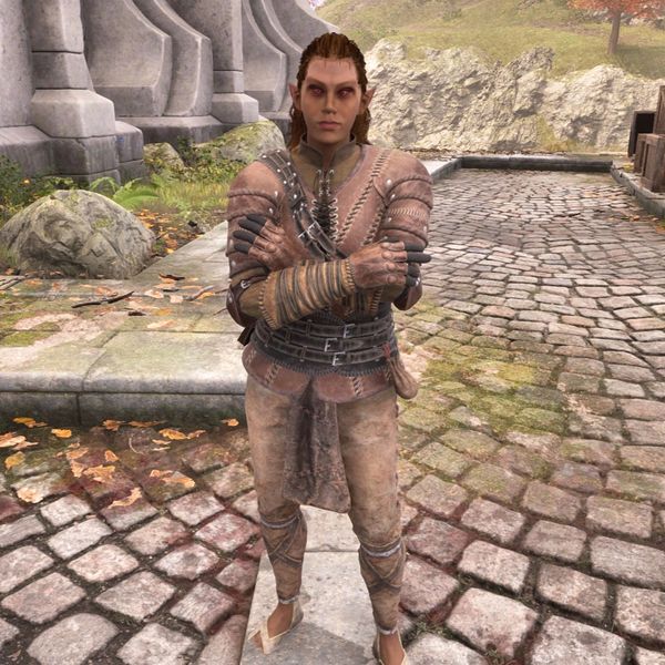 File:OBR-npc-Methredhel.jpg