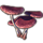 ON-icon-furnishing-Mushrooms, Gilled Dusk Cluster.png