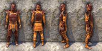 ON-item-armor-Anequina Heavy Male.jpg