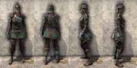 ON-item-armor-Imperial Light Jerkin 4 Female.jpg