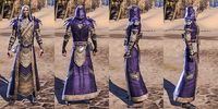 ON-item-armor-Silk-Robe-Breton-Male.jpg