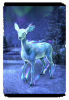 ON-card-Star-Orphan Fawn.png