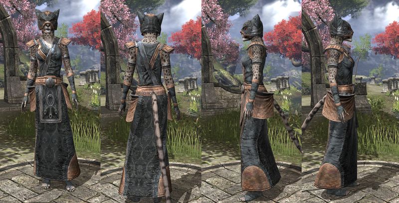 File:ON-item-armor-Khajiit Light Robe 2 Female.jpg