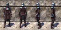 ON-item-armor-Silver Rose Medium Female.jpg