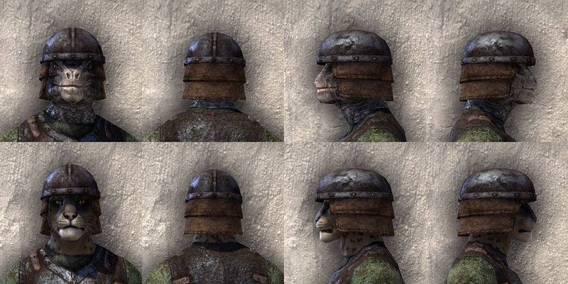 File:ON-item-armor-Soul-Shriven Heavy Beast Races.jpg