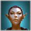 BL-icon-avatar-Variant High Elf Female.png