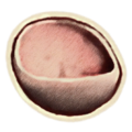 Thumbnail for version as of 17:59, 29 May 2025