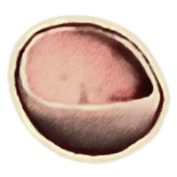 OBR-icon-ingredient-Elf Cup Cap.png