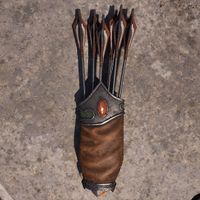OBR-item-Amber Quiver.jpg