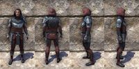 ON-item-armor-Silver Rose Light Jerkin Male.jpg