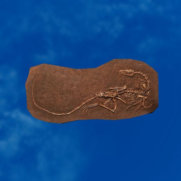 File:SRMOD-LOTD-fossil-t4-volcanic-complete saurian fossil.jpg