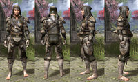 ON-item-armor-Leather-Bosmer-Male.jpg