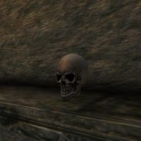 SI-item-Pygmy Skull.jpg