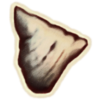 OBR-icon-ingredient-Tinder Polypore Cap.png
