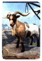 ON-card-Wrothgar Buck Goat.png