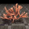 ON-furnishing-Elkhorn Coral, Sturdy Branching.jpg