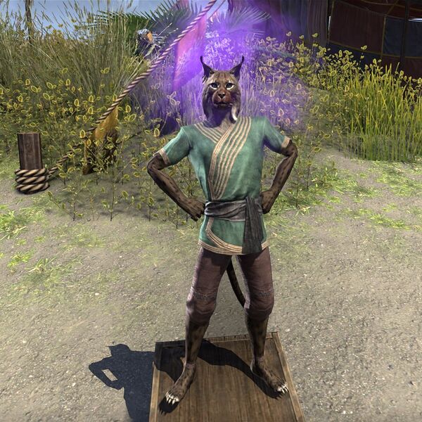 File:ON-npc-Roothaag.jpg