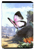ON-card-Mara's Blush Butterfly.png