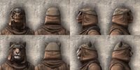 ON-item-armor-Gardener of Seasons Beast Races.jpg