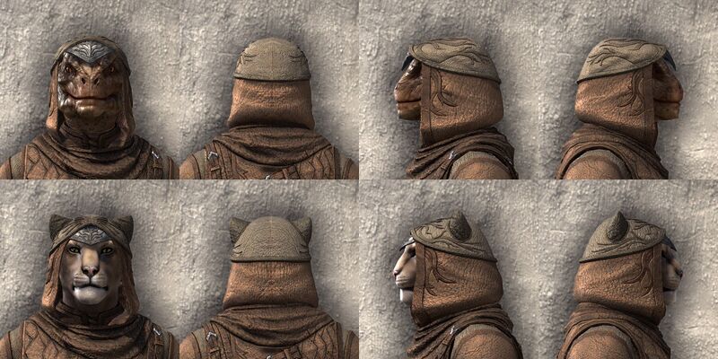 File:ON-item-armor-Gardener of Seasons Beast Races.jpg