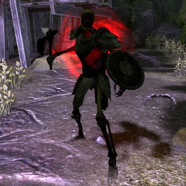 File:ON-npc-Blackheart Strongarm (undead).jpg