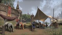 ON-place-Event Exchange (Northern Elsweyr).jpg