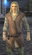 Male High Elf