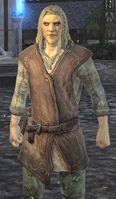 BL-race-High Elf (male).jpg