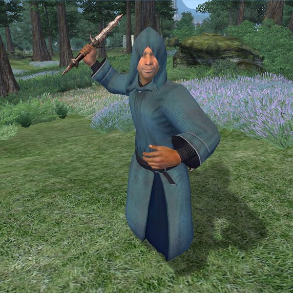 File:OB-npc-Conjurer Adept (Breton male).jpg