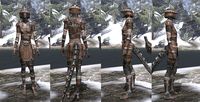 ON-item-armor-Rawhide-Argonian-Female.jpg