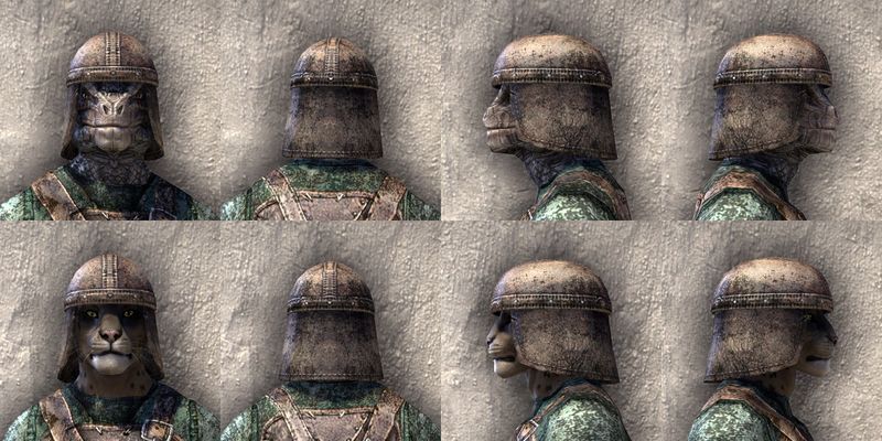 File:ON-item-armor-Soul-Shriven Medium Beast Races.jpg
