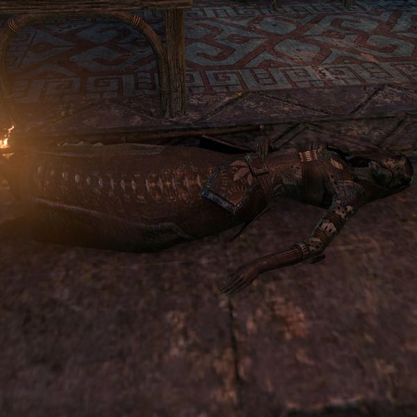 File:ON-npc-Sharp-Eye Firecaster (dead).jpg