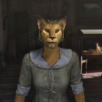 OBR-npc-Nahsi 02.jpg